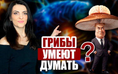 Грибы умеют думать? Исследование учёных