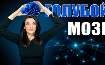 Голубой мозг. Можно ли оцифровать мозг человека? Blue Brain Project