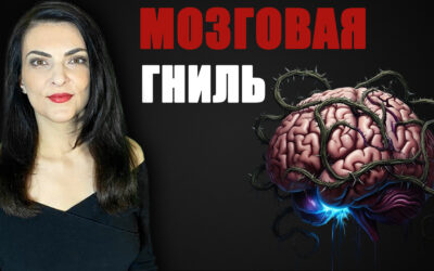 «Мозговая гниль» (brain rot). Как «залипание» в соцсетях и скроллинг влияет на самочувствие